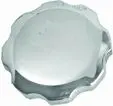 07-319 Fuel Cap Honda Oregon 1