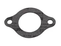 0A2440 Gasket, Thermostat Generac Gps4/Wh3 1
