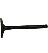 0C2229 Intake Valve Generac 1