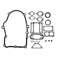 0D40100esv Gasket Kit Generac 1