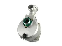 0K95700001 Water Pump Assembly Generac 1