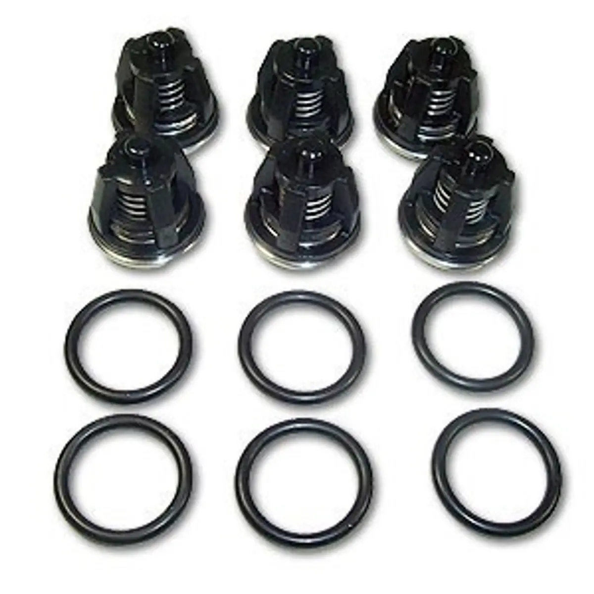 103001X Check Valve Kit Pw Sm 1