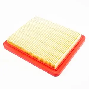 10905 Filter Element Air Cleaner Earthquake Vipor 1
