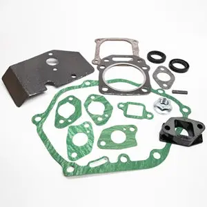 11225 Kit, Engine Gaskets   Vipor  Earthquake 1