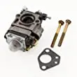 11334  	  Kit Carburetor Replacement 2-C  Earthquake Su13-4/W3 1