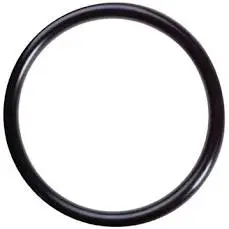 12326 O-Ring Giant 1