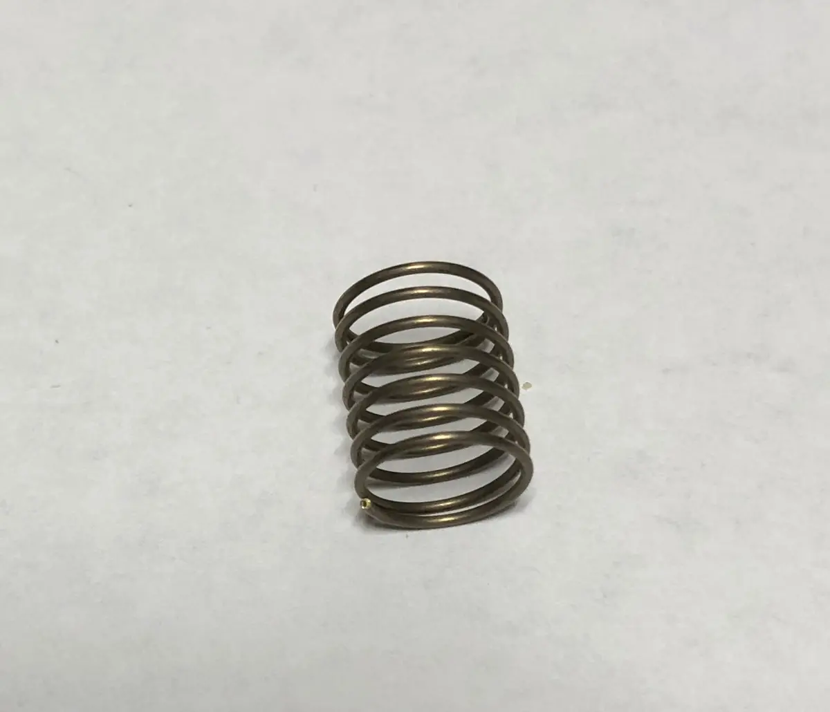 12328 Kick Back Valve Spring Giant 1