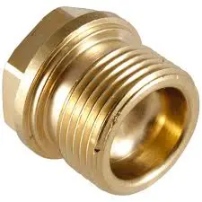 1260162T         Valve Cap      Annovi Reverberi/Ar No America 1