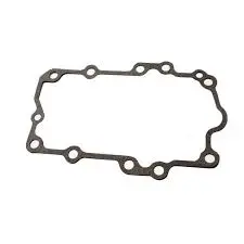 2000061 Gasket Hydrogear 1