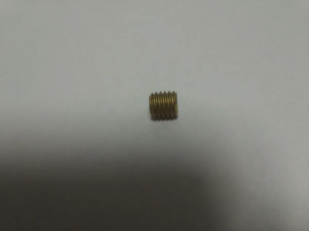 190651Gs Screw Briggs And Stratton 1