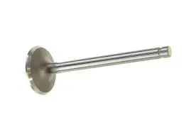 24-017-01-S Intake Valve Kohler Ko5/Wh3 1