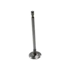 262247 Intake Valve Briggs 1