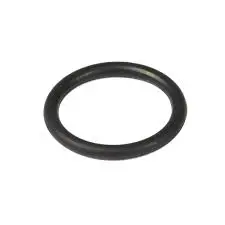 270344S Seal-O Ring Briggs 1