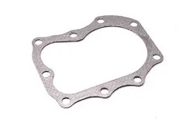 272163S Gasket-Cylinder Head Briggs 1
