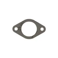 272569S Gasket-Intake Briggs 1