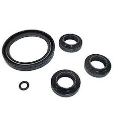 2797 Oil Seal Kit Ar Pump 1