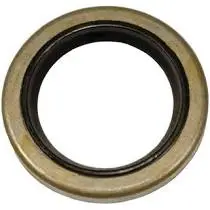 299819 Oil Seal Briggs And Stratton Br1/Wh4 1