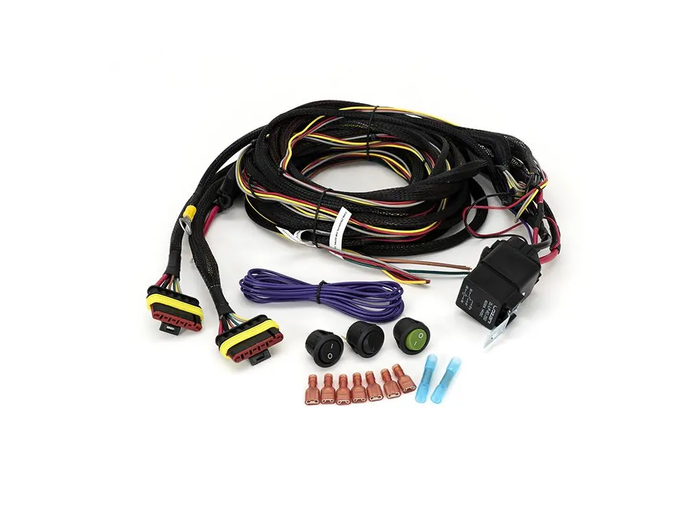 Two-Lamp Wiring Kit (6-Pin, Superseal, 12V) 1