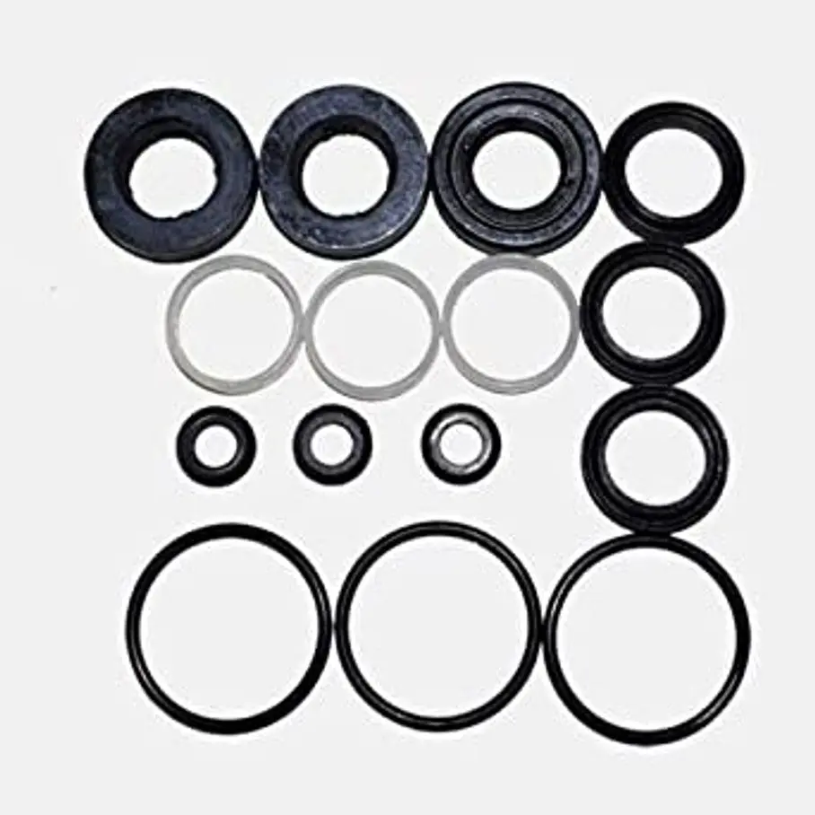 Ca31556 Rebuild Kit Northstar 1