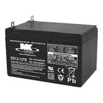 316543Gs      Battery      Briggs & Stratton 1