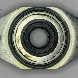 363292 Flanged Bearing Encore 1