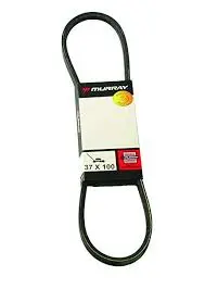 37X100ma Belt Murray 1