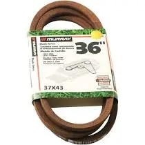 37X43 Belt 37X43ma37x43yp Murray 1