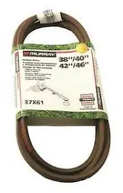 37X61ma Belt Murray 1