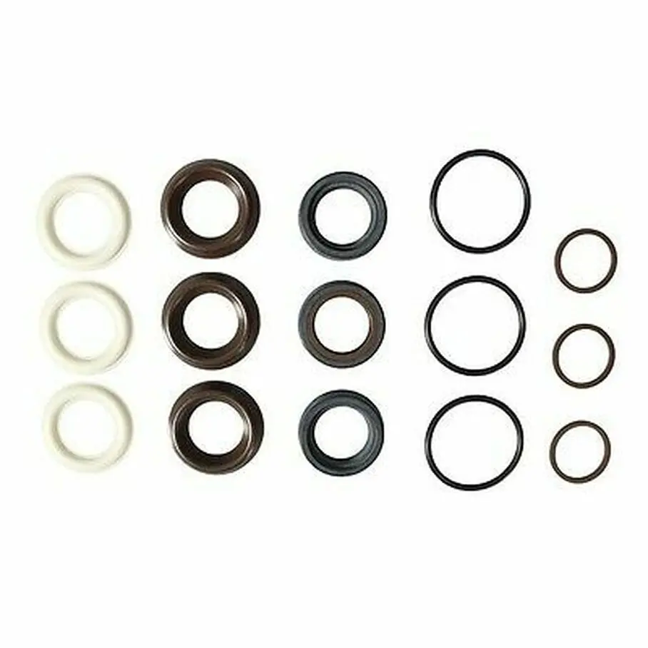 42556 Kit, Water Seals Ar No America 1