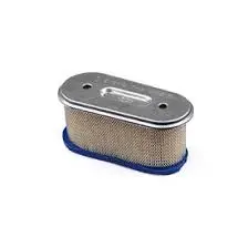 491021 Filter-A/C Cartridge Briggs 1