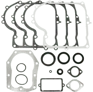 494241 Gasket Kit Briggs 1