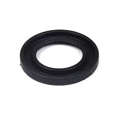 495307S Seal-Oil Briggs 1