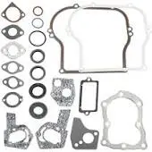 495603 Gasket Kit Briggs 1