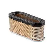 496894S Filter-A/C Cartridge Briggs 1