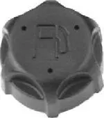 497929S/5057 Fuel Cap Briggs 1