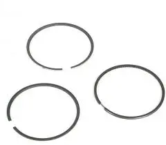 499631 Ring Set-Std Briggs 1