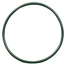 51016  O-Ring Round  Hydrogear 1