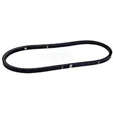 539102550 Belt, Pump Ayp 1