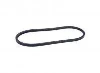 602253  Belt, A Sec, 67.6 El  Big Dog 1