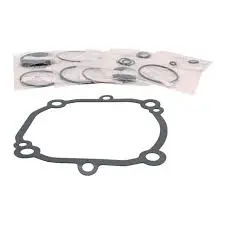 603362 Seal Kit Dd20 Hustler 1