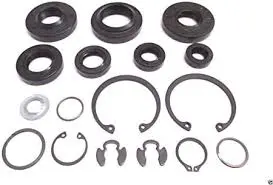 607198 Seal Kit Hydrogear Hustler 1