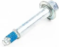 690349 Screw Briggs 1