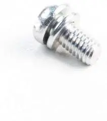 690718 Screw Briggs 1