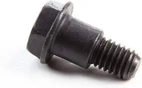 690940 Screw Briggs 1