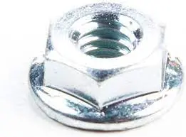 690958 Nut Briggs 1