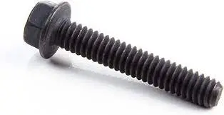 691092 Screw Briggs 1
