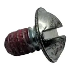 691636 Screw Briggs 1