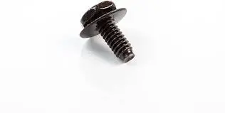 691675 Screw Briggs 1