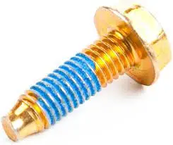 692523 Screw Briggs 1