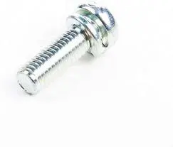 695407 Screw Briggs 1
